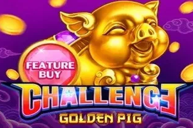 Feature Buy・golden Pig
